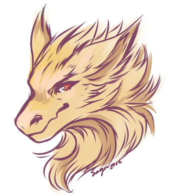 Headshot Color Headshot Color